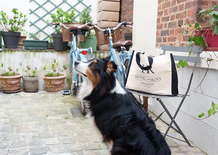 A L'hotel Des Roys Отель